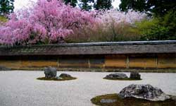 zahrada Ryoan-ji