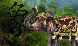 Slon symbol moudrosti